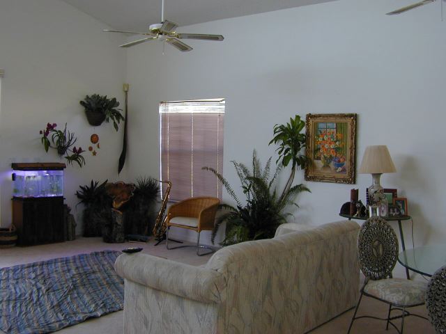 family_room_decoration_3